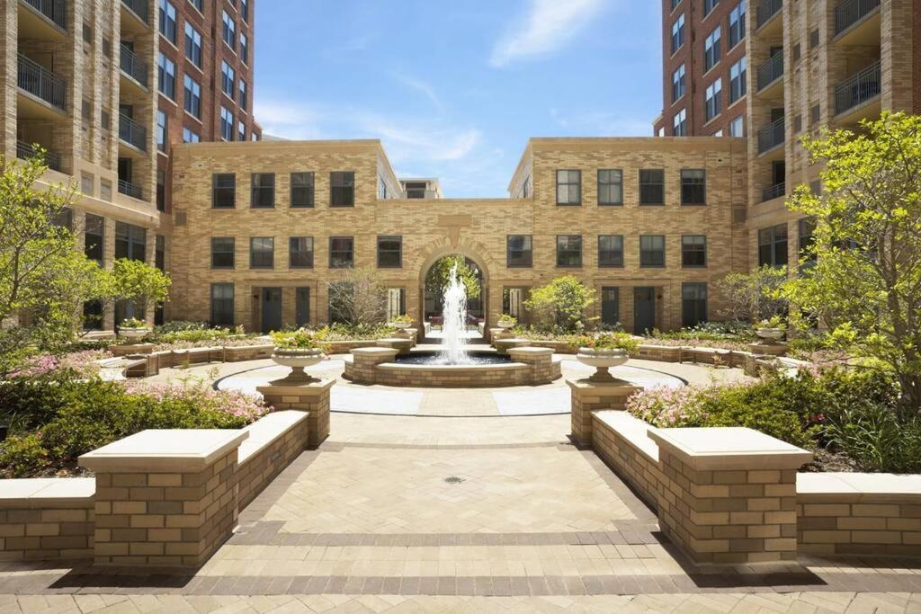 Bright And Cozy Apartment Near Pentagon City Άρλινγκτον Εξωτερικό φωτογραφία