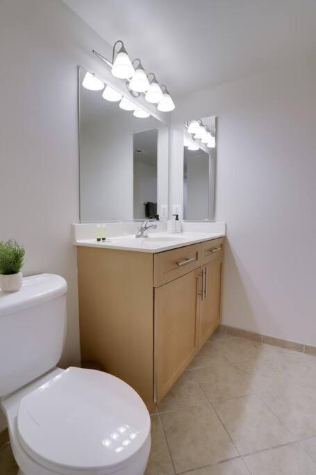 Bright And Cozy Apartment Near Pentagon City Άρλινγκτον Εξωτερικό φωτογραφία