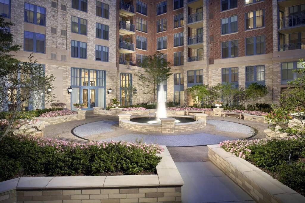 Bright And Cozy Apartment Near Pentagon City Άρλινγκτον Εξωτερικό φωτογραφία