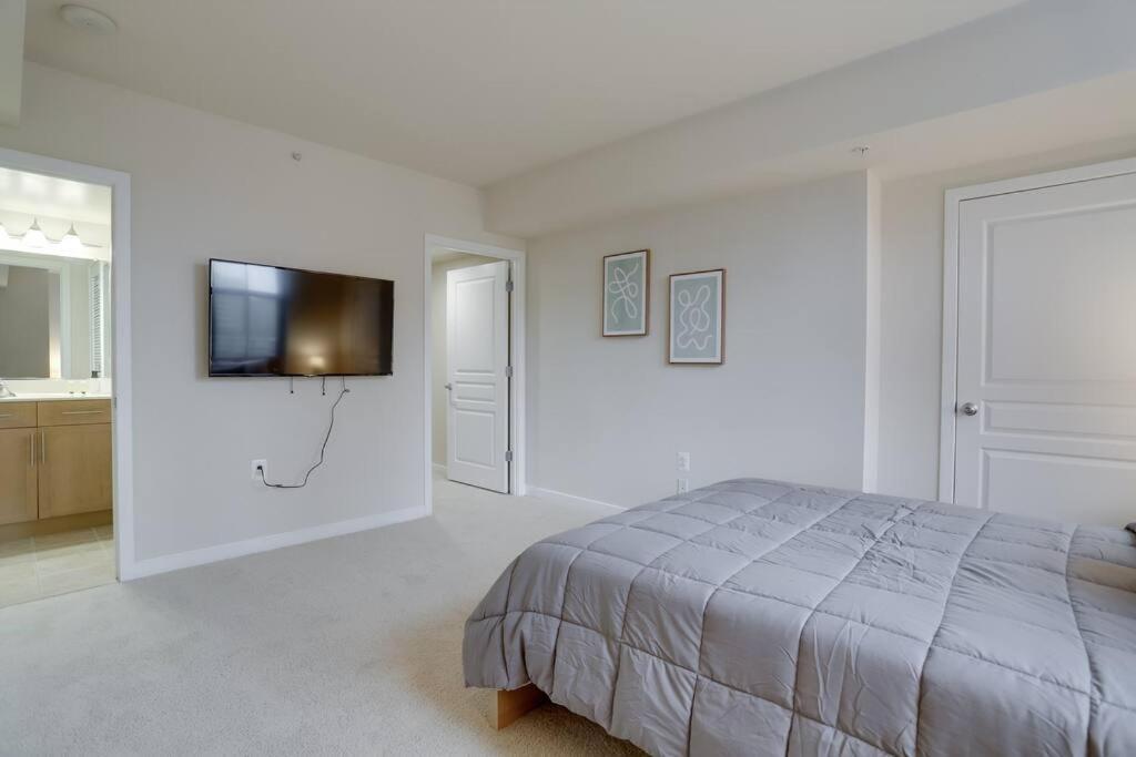 Bright And Cozy Apartment Near Pentagon City Άρλινγκτον Εξωτερικό φωτογραφία