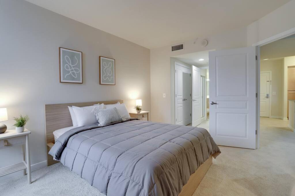 Bright And Cozy Apartment Near Pentagon City Άρλινγκτον Εξωτερικό φωτογραφία